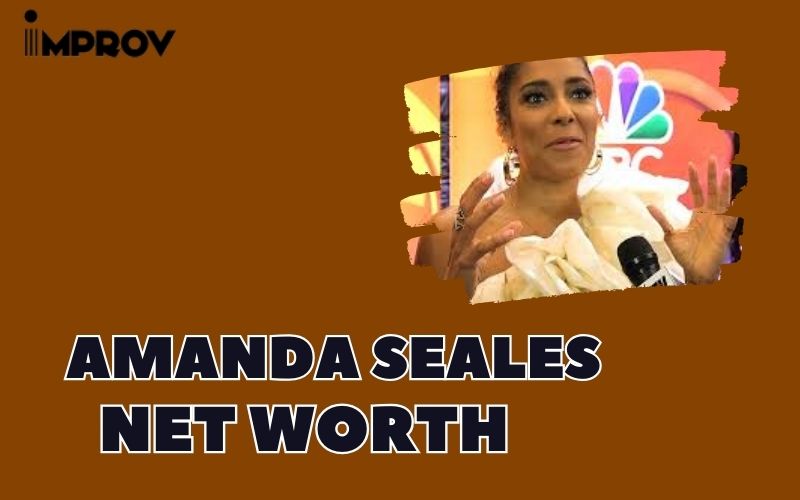 What is the Net Worth Of Amanda Seales in 2024